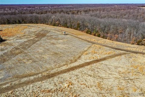 Tiny photo for 15585 Red Oak Trail Trl, Monroe City, MO 63456 (MLS # 26013984)