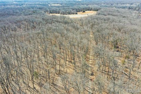 Tiny photo for 15585 Red Oak Trail Trl, Monroe City, MO 63456 (MLS # 26013984)