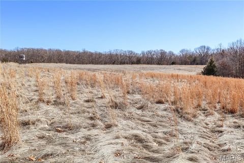 Tiny photo for 15585 Red Oak Trail Trl, Monroe City, MO 63456 (MLS # 26013984)