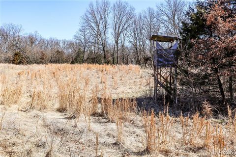 Tiny photo for 15585 Red Oak Trail Trl, Monroe City, MO 63456 (MLS # 26013984)