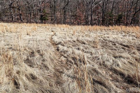 Tiny photo for 15585 Red Oak Trail Trl, Monroe City, MO 63456 (MLS # 26013984)