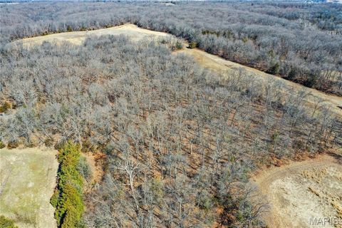 Tiny photo for 15585 Red Oak Trail Trl, Monroe City, MO 63456 (MLS # 26013984)