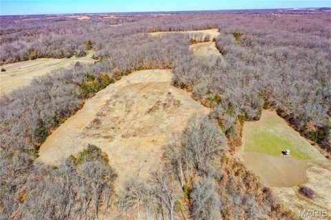 Tiny photo for 15585 Red Oak Trail Trl, Monroe City, MO 63456 (MLS # 26013984)