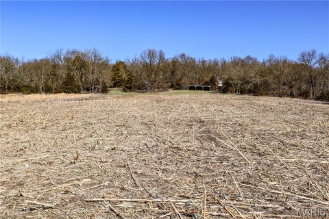Tiny photo for 15585 Red Oak Trail Trl, Monroe City, MO 63456 (MLS # 26013984)