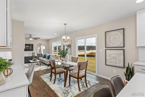 Tiny photo for 117 Day Lily Lane, Wentzville, MO 63385 (MLS # 26006259)