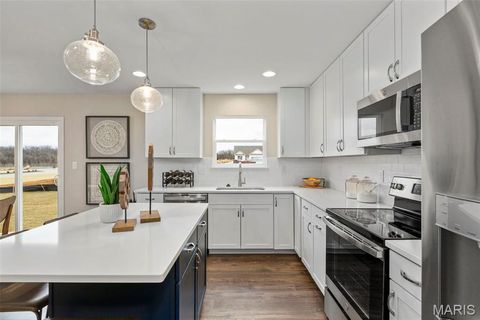 Tiny photo for 117 Day Lily Lane, Wentzville, MO 63385 (MLS # 26006259)