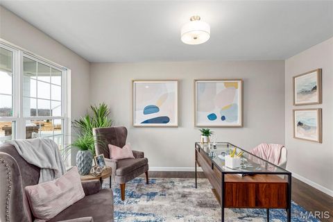 Tiny photo for 117 Day Lily Lane, Wentzville, MO 63385 (MLS # 26006259)