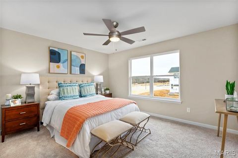 Tiny photo for 117 Day Lily Lane, Wentzville, MO 63385 (MLS # 26006259)