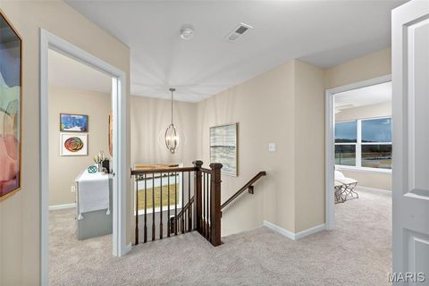 Tiny photo for 117 Day Lily Lane, Wentzville, MO 63385 (MLS # 26006259)