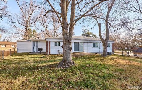 Tiny photo for 815 Montmartre Court, St Louis, MO 63141 (MLS # 26018273)