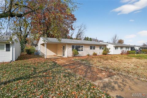 Tiny photo for 4423 Dabney Drive, St Louis, MO 63134 (MLS # 25077336)