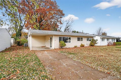 Photo of 4423 Dabney Drive, St Louis, MO 63134 (MLS # 25077336)