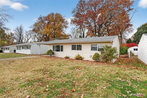 Tiny photo for 4423 Dabney Drive, St Louis, MO 63134 (MLS # 25077336)