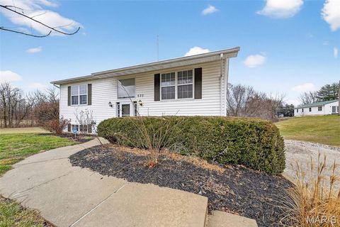 Tiny photo for 920 N 7th Street, Elsberry, MO 63343 (MLS # 26012888)