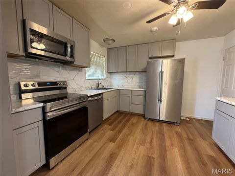 Tiny photo for 601 Wickford Way, Ballwin, MO 63021 (MLS # 26004146)