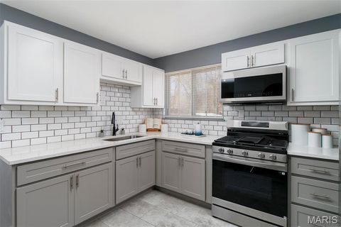 Tiny photo for 9606 Lifford Court, St Louis, MO 63136 (MLS # 26019018)