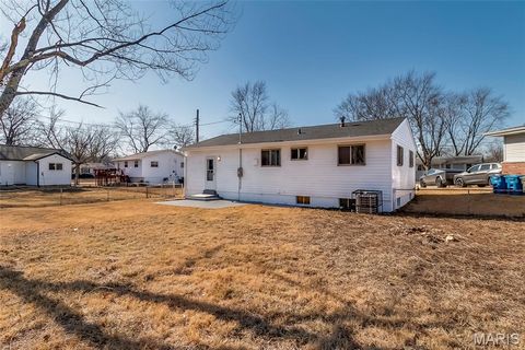 Tiny photo for 9606 Lifford Court, St Louis, MO 63136 (MLS # 26019018)