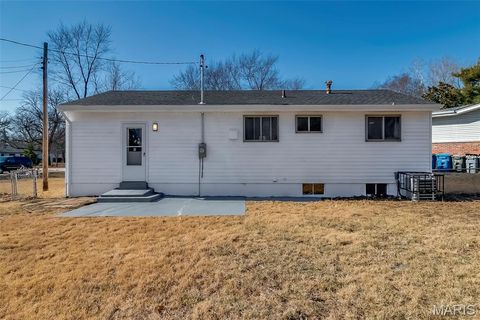 Tiny photo for 9606 Lifford Court, St Louis, MO 63136 (MLS # 26019018)