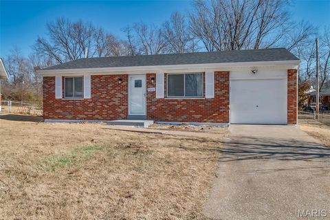 Photo of 9606 Lifford Court, St Louis, MO 63136 (MLS # 26019018)
