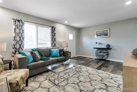 Tiny photo for 9606 Lifford Court, St Louis, MO 63136 (MLS # 26019018)