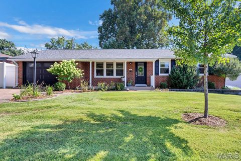21 Flora Drive Festus MO 63028