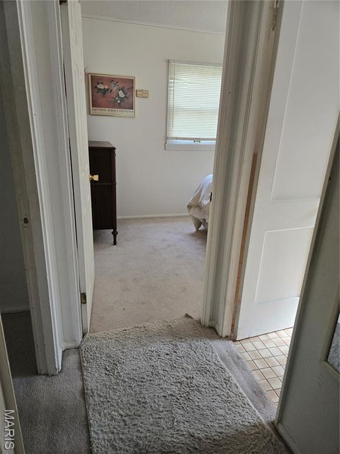 Tiny photo for 312 Oak Tree Drive, Webster Groves, MO 63119 (MLS # 25065384)