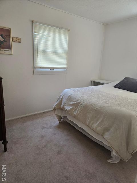 Tiny photo for 312 Oak Tree Drive, Webster Groves, MO 63119 (MLS # 25065384)