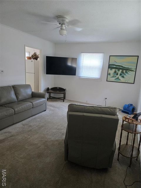 Tiny photo for 312 Oak Tree Drive, Webster Groves, MO 63119 (MLS # 25065384)