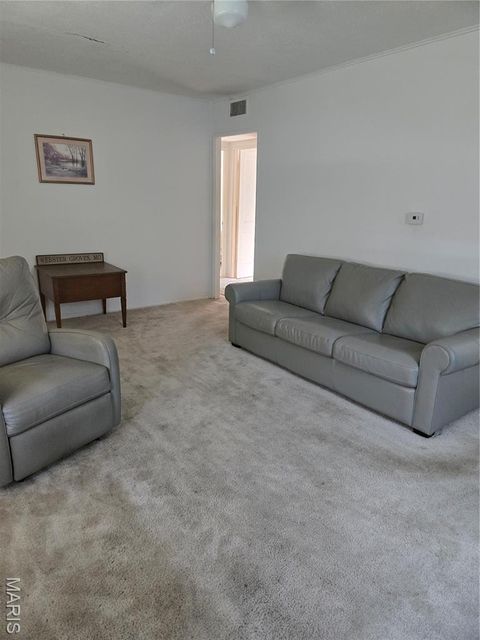 Tiny photo for 312 Oak Tree Drive, Webster Groves, MO 63119 (MLS # 25065384)