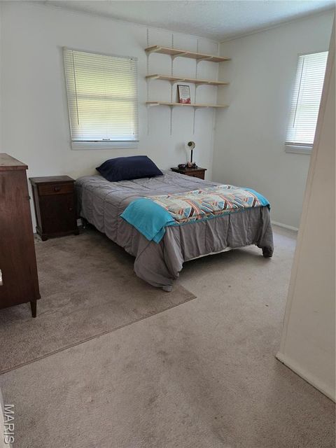 Tiny photo for 312 Oak Tree Drive, Webster Groves, MO 63119 (MLS # 25065384)