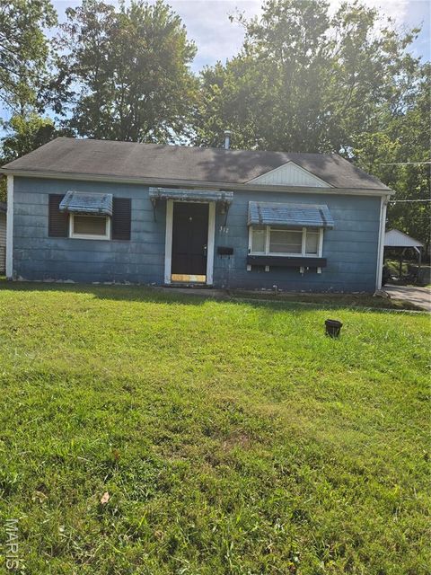 Photo of 312 Oak Tree Drive, Webster Groves, MO 63119 (MLS # 25065384)
