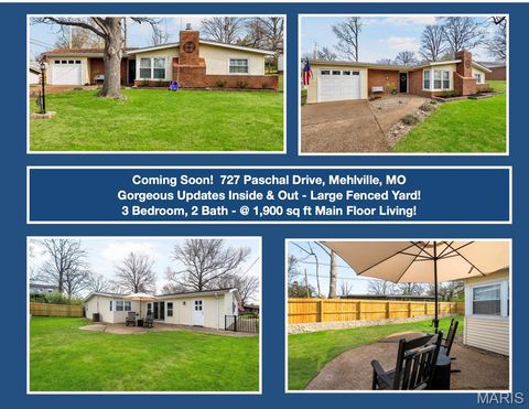 Photo of 727 Paschal Drive, Mehlville, MO 63125 (MLS # 26018078)