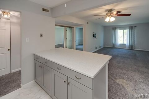 Tiny photo for 942 Guelbreth Lane #301, Creve Coeur, MO 63141 (MLS # 26024609)