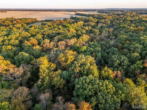 Tiny photo for 228 Logan Road, Silex, MO 63377 (MLS # 26065867)
