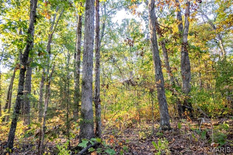 Tiny photo for 228 Logan Road, Silex, MO 63377 (MLS # 26065867)