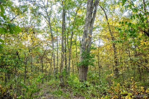 Tiny photo for 228 Logan Road, Silex, MO 63377 (MLS # 26065867)