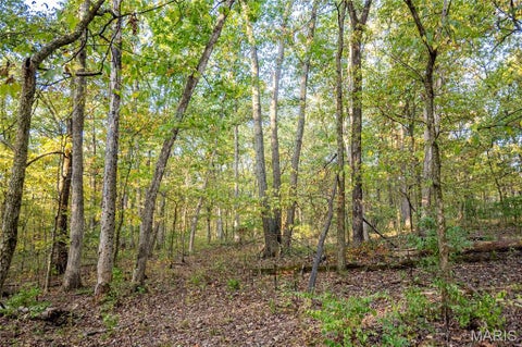 Tiny photo for 228 Logan Road, Silex, MO 63377 (MLS # 26065867)