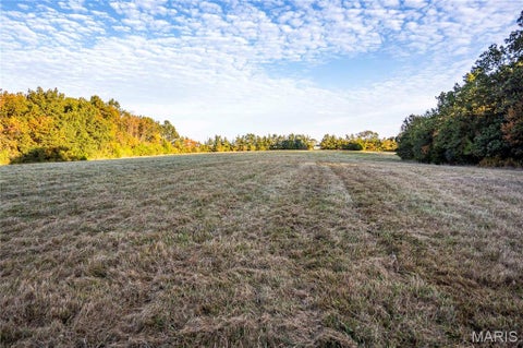 Tiny photo for 228 Logan Road, Silex, MO 63377 (MLS # 26065867)