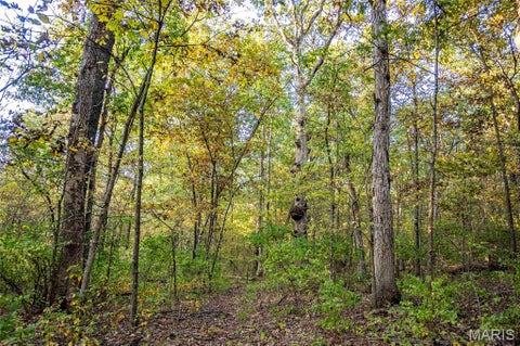 Tiny photo for 228 Logan Road, Silex, MO 63377 (MLS # 26065867)