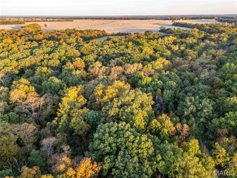 Tiny photo for 228 Logan Road, Silex, MO 63377 (MLS # 26065867)