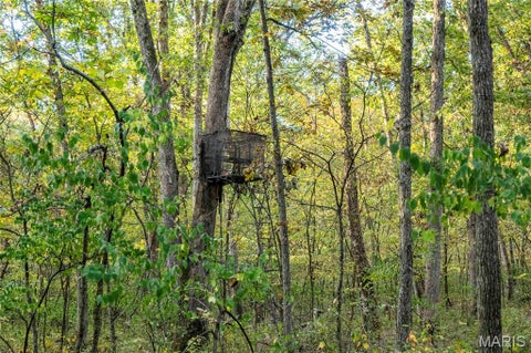 Tiny photo for 228 Logan Road, Silex, MO 63377 (MLS # 26065867)