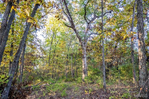 Tiny photo for 228 Logan Road, Silex, MO 63377 (MLS # 26065867)