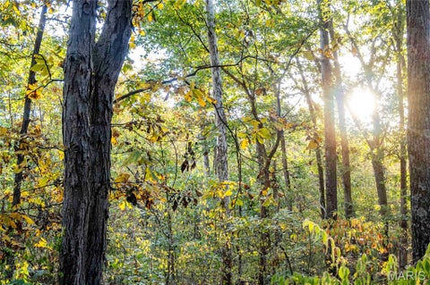 Tiny photo for 228 Logan Road, Silex, MO 63377 (MLS # 26065867)
