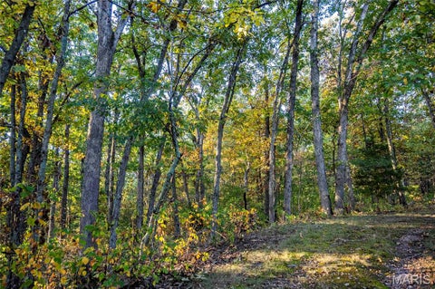 Tiny photo for 228 Logan Road, Silex, MO 63377 (MLS # 26065867)