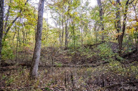 Tiny photo for 228 Logan Road, Silex, MO 63377 (MLS # 26065867)