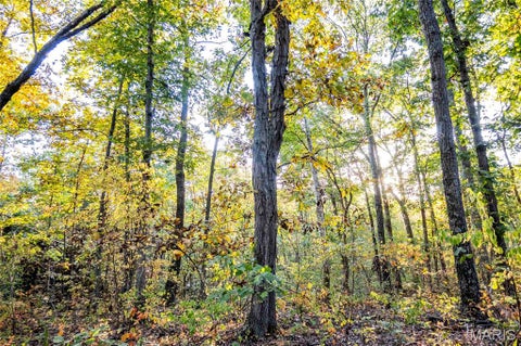 Tiny photo for 228 Logan Road, Silex, MO 63377 (MLS # 26065867)