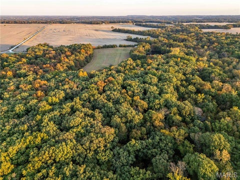 Tiny photo for 228 Logan Road, Silex, MO 63377 (MLS # 26065867)