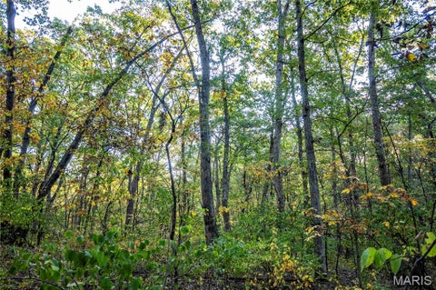 Tiny photo for 228 Logan Road, Silex, MO 63377 (MLS # 26065867)