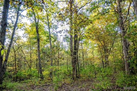 Tiny photo for 228 Logan Road, Silex, MO 63377 (MLS # 26065867)