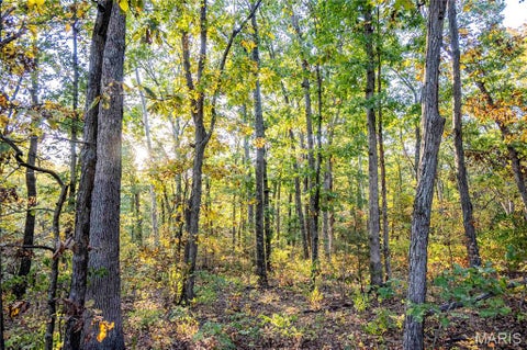 Tiny photo for 228 Logan Road, Silex, MO 63377 (MLS # 26065867)